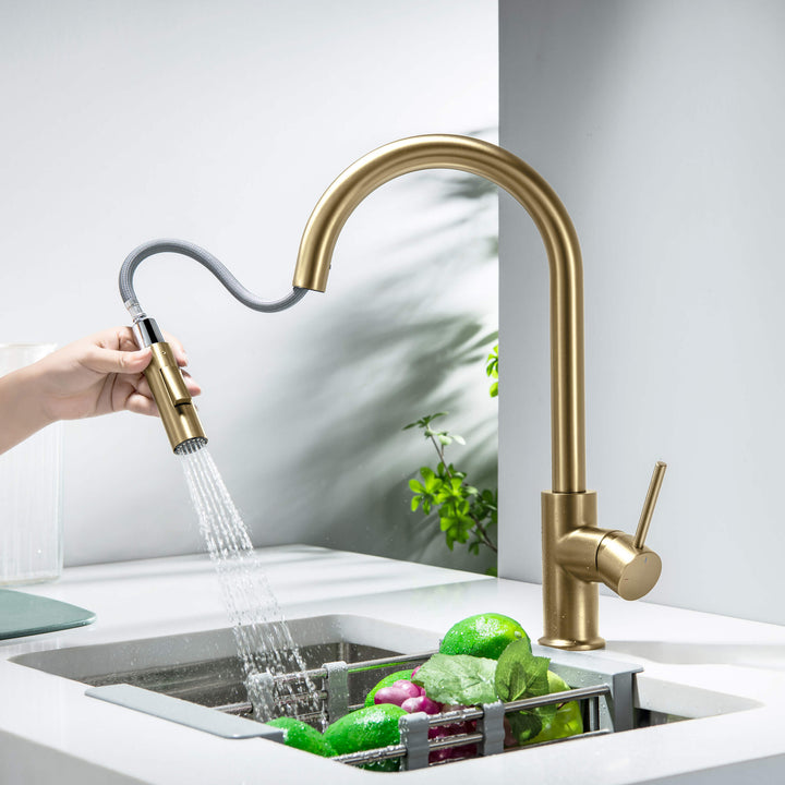 Halo Single-Handle Pull-Down Kitchen Faucet