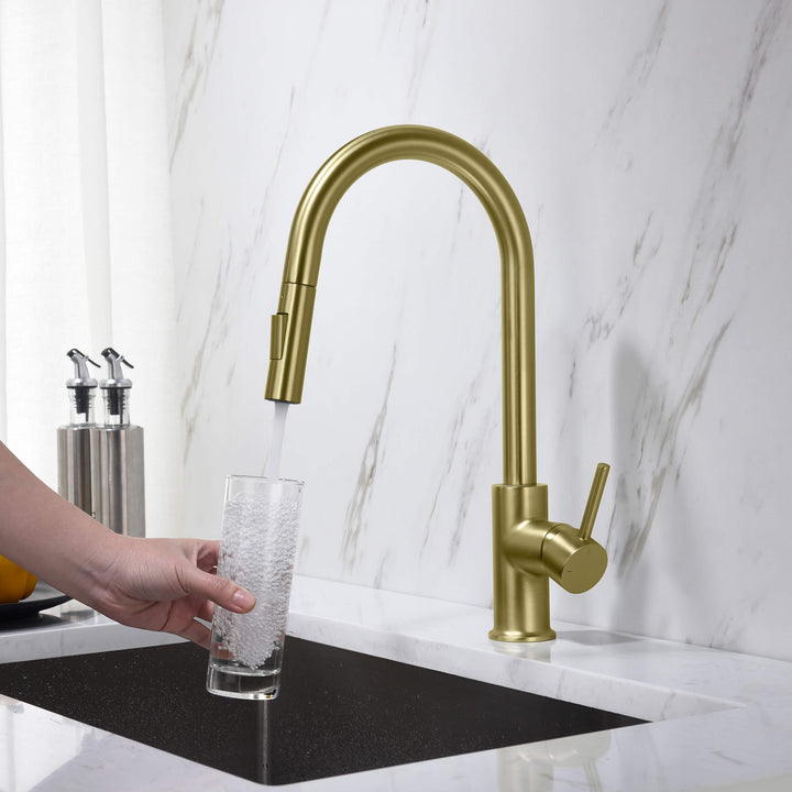 Halo Single-Handle Pull-Down Kitchen Faucet
