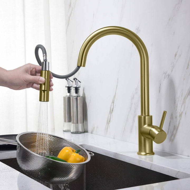 Halo Single-Handle Pull-Down Kitchen Faucet