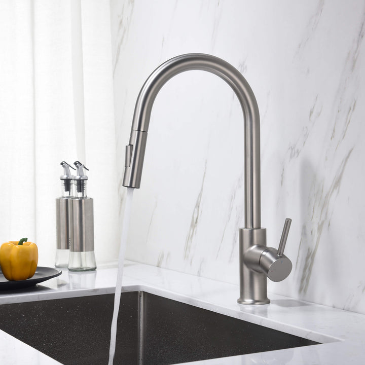 Halo Single-Handle Pull-Down Kitchen Faucet