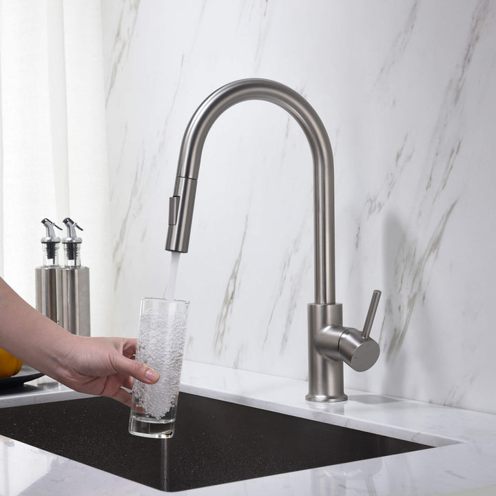 Halo Single-Handle Pull-Down Kitchen Faucet