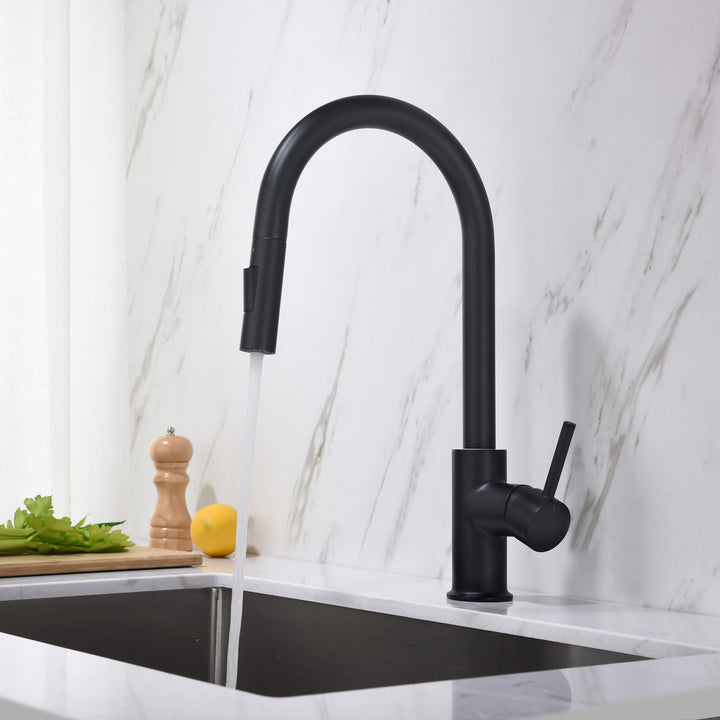 Halo Single-Handle Pull-Down Kitchen Faucet