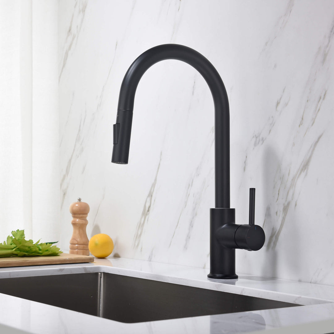 Halo Single-Handle Pull-Down Kitchen Faucet