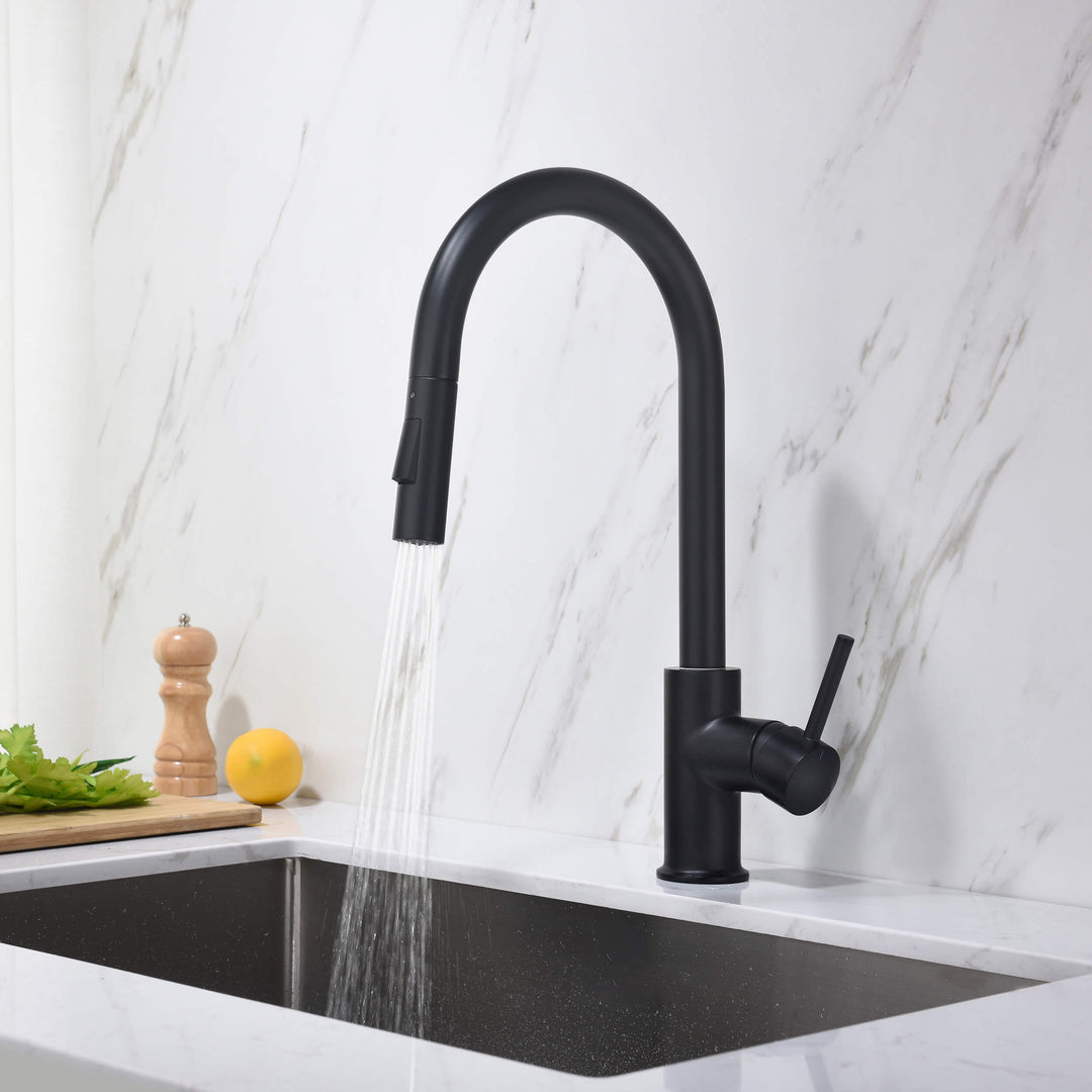 Halo Single-Handle Pull-Down Kitchen Faucet