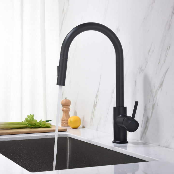 Halo Single-Handle Pull-Down Kitchen Faucet