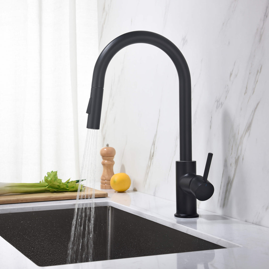 Halo Single-Handle Pull-Down Kitchen Faucet