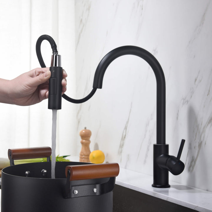 Halo Single-Handle Pull-Down Kitchen Faucet