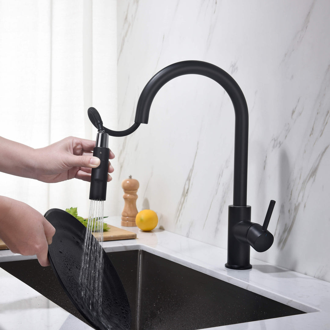 Halo Single-Handle Pull-Down Kitchen Faucet