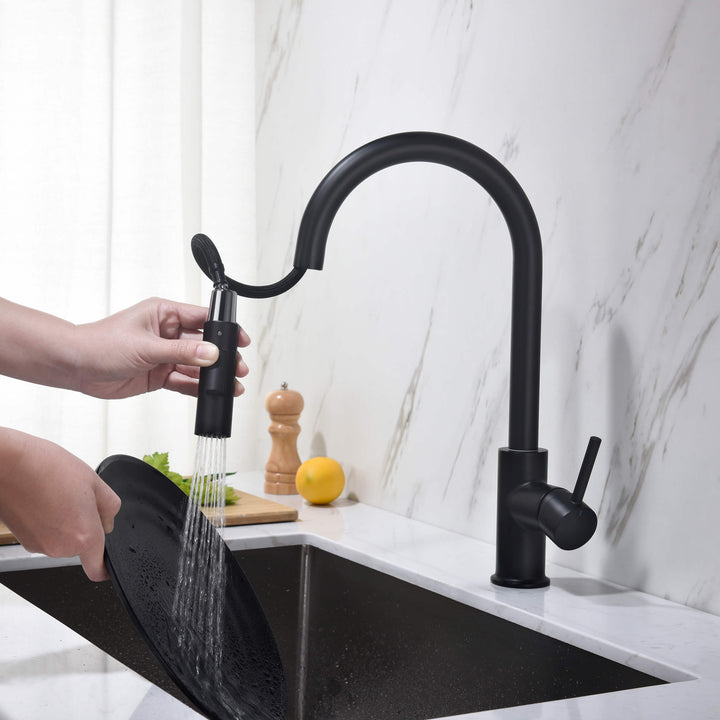 Halo Single-Handle Pull-Down Kitchen Faucet