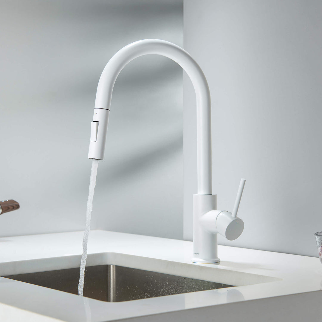 Halo Single-Handle Pull-Down Kitchen Faucet