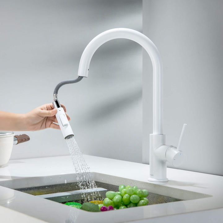 Halo Single-Handle Pull-Down Kitchen Faucet