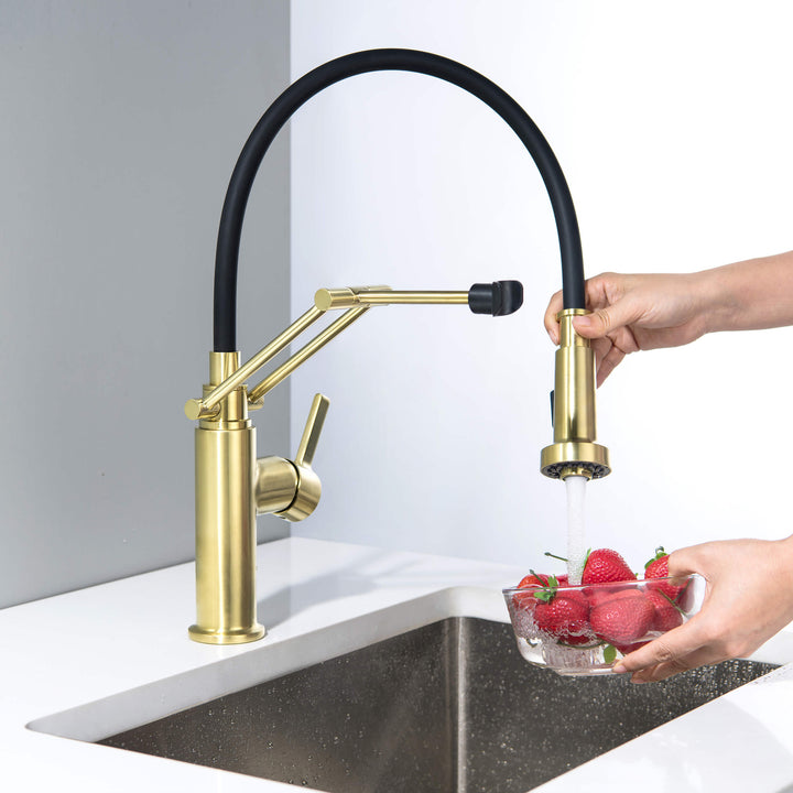 Vista Single-Handle Pull-Down Kitchen Faucet
