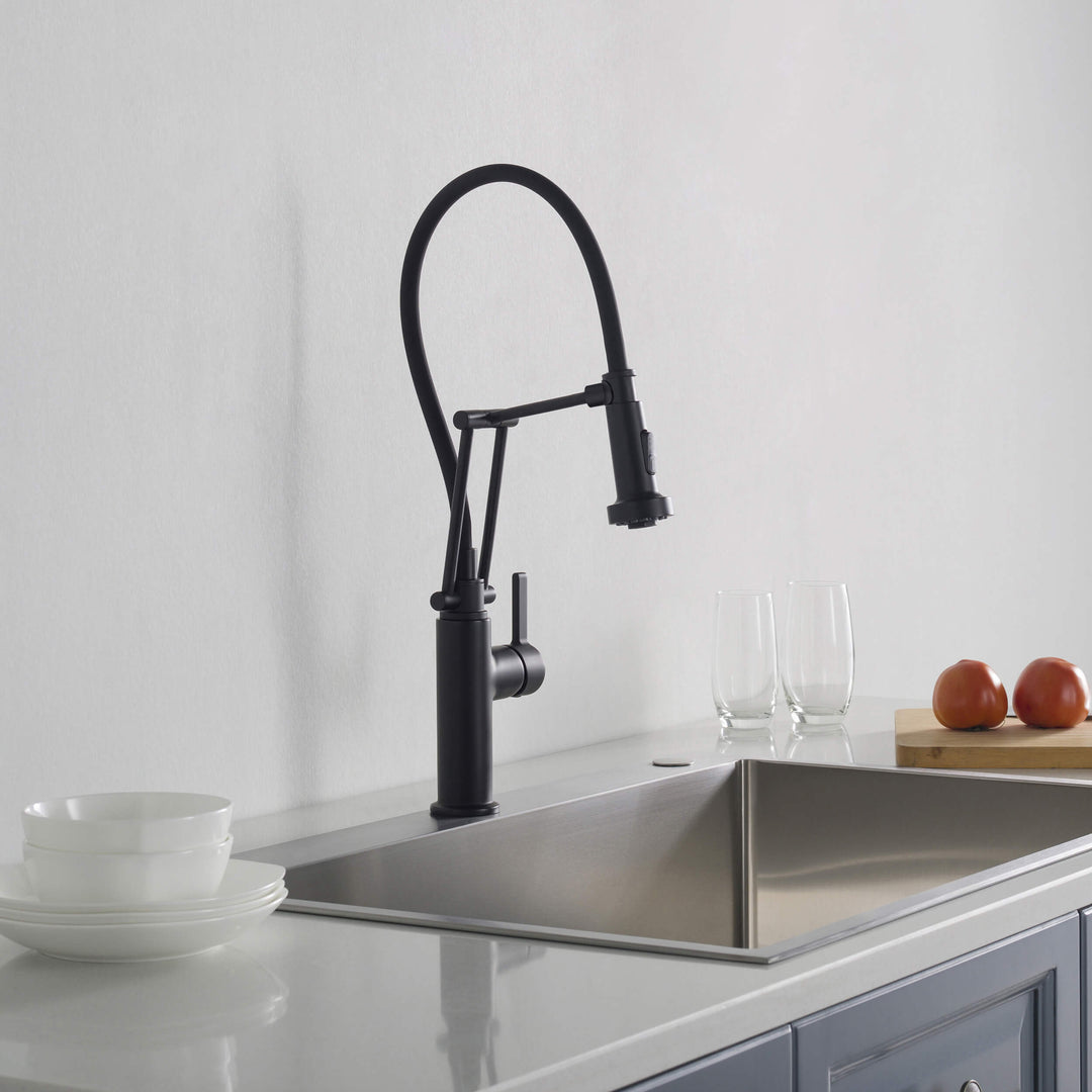 Vista Single-Handle Pull-Down Kitchen Faucet