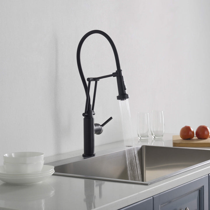 Vista Single-Handle Pull-Down Kitchen Faucet