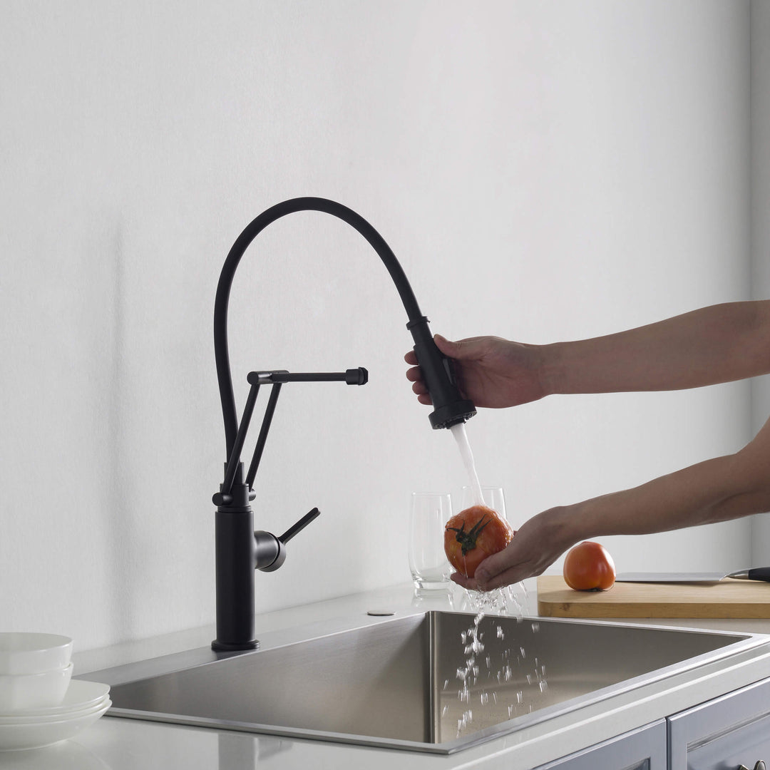 Vista Single-Handle Pull-Down Kitchen Faucet