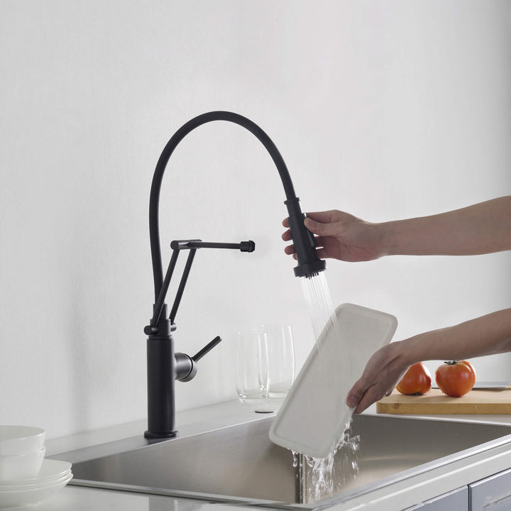 Vista Single-Handle Pull-Down Kitchen Faucet