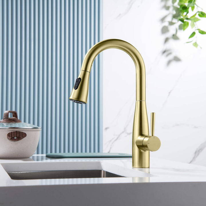 Plano Single-Handle Pull-Down Kitchen &amp; Bar Faucet