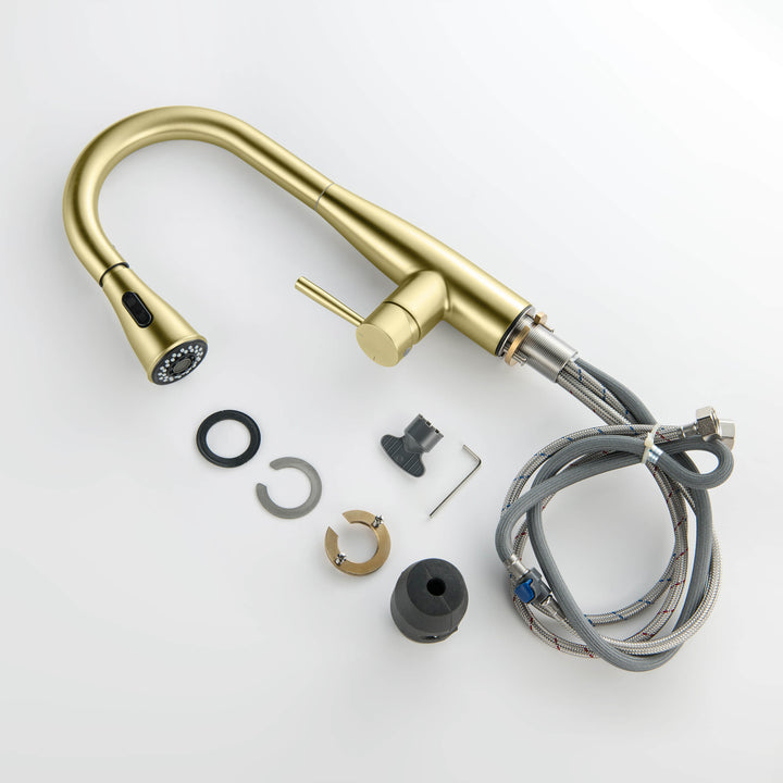 Plano Single-Handle Pull-Down Kitchen &amp; Bar Faucet