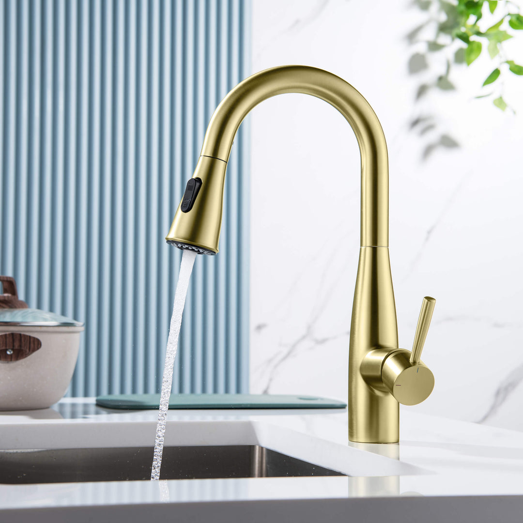 Plano Single-Handle Pull-Down Kitchen &amp; Bar Faucet