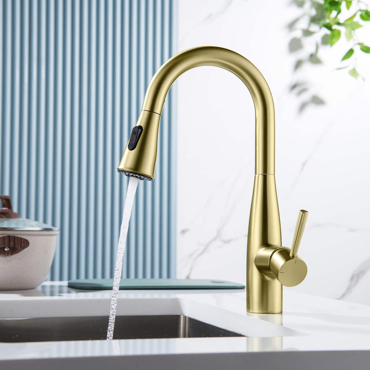 Plano Single-Handle Pull-Down Kitchen &amp; Bar Faucet