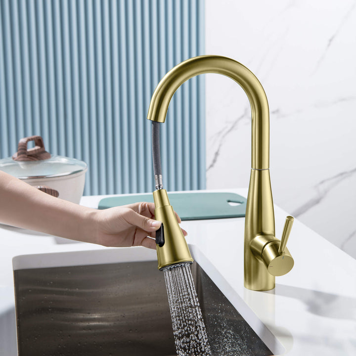 Plano Single-Handle Pull-Down Kitchen &amp; Bar Faucet