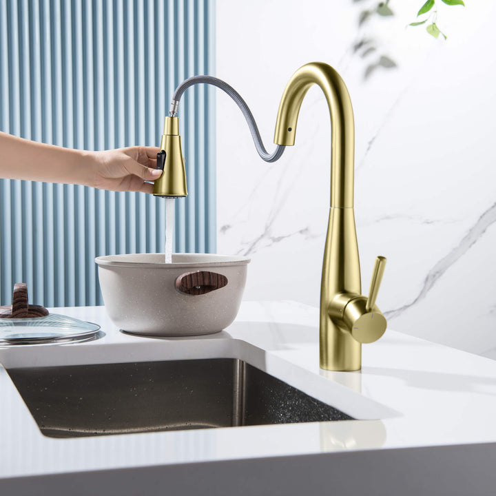 Plano Single-Handle Pull-Down Kitchen &amp; Bar Faucet