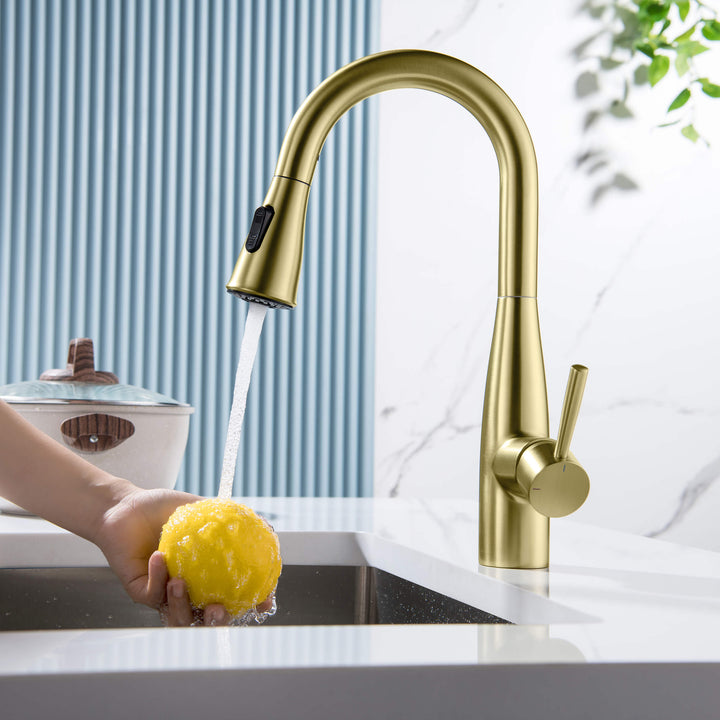 Plano Single-Handle Pull-Down Kitchen &amp; Bar Faucet