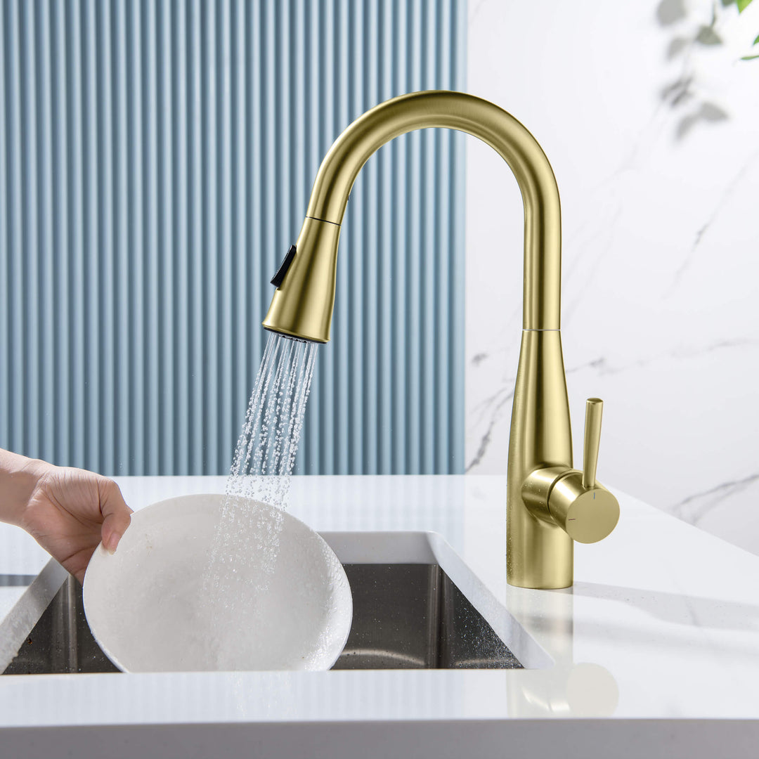 Plano Single-Handle Pull-Down Kitchen &amp; Bar Faucet