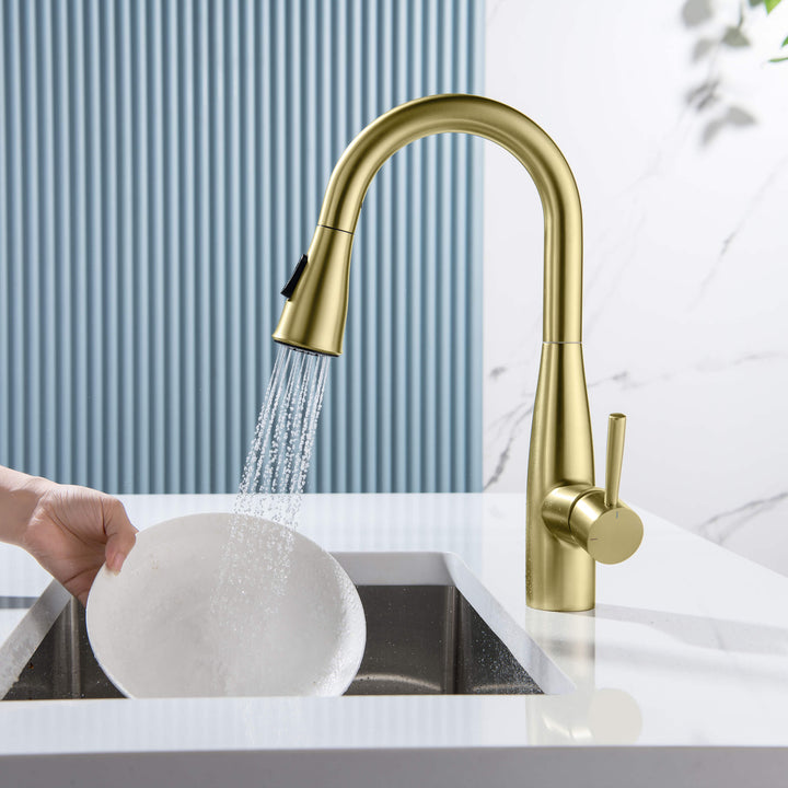 Plano Single-Handle Pull-Down Kitchen &amp; Bar Faucet