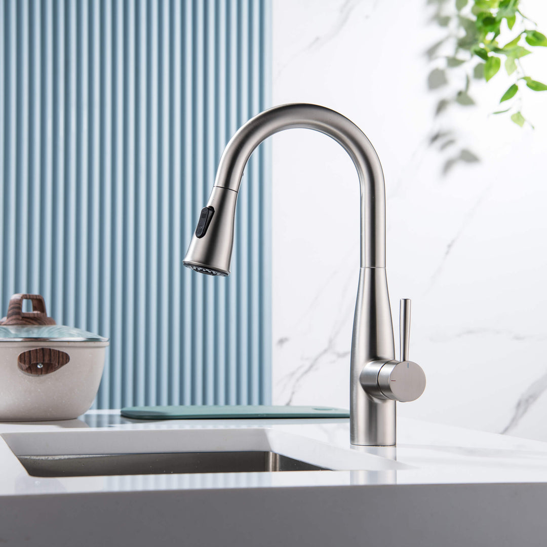 Plano Single-Handle Pull-Down Kitchen &amp; Bar Faucet