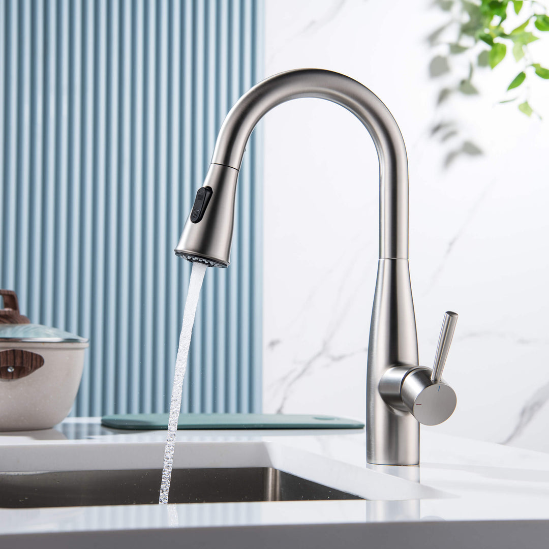 Plano Single-Handle Pull-Down Kitchen &amp; Bar Faucet