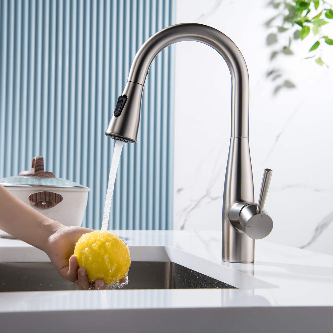 Plano Single-Handle Pull-Down Kitchen &amp; Bar Faucet