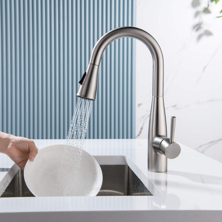 Plano Single-Handle Pull-Down Kitchen &amp; Bar Faucet