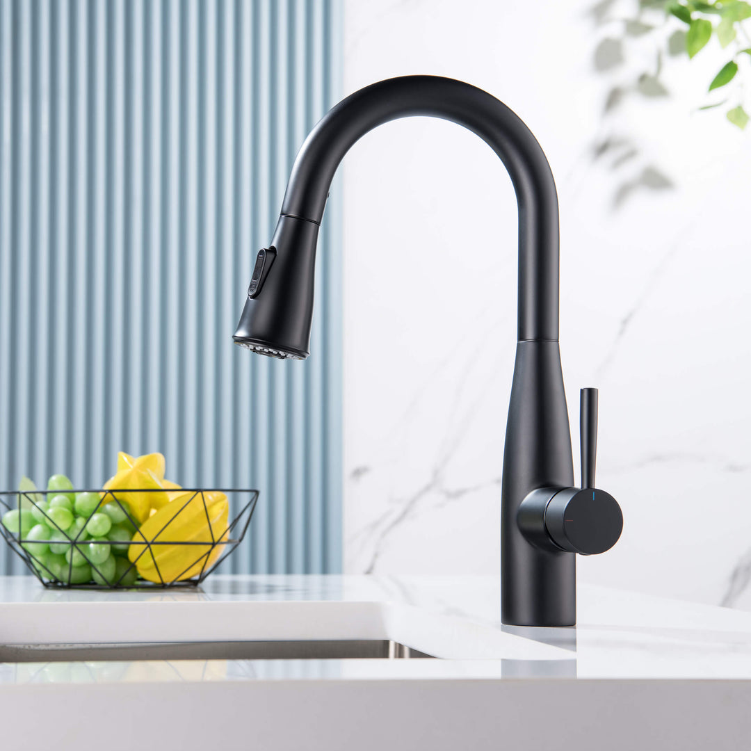 Plano Single-Handle Pull-Down Kitchen &amp; Bar Faucet