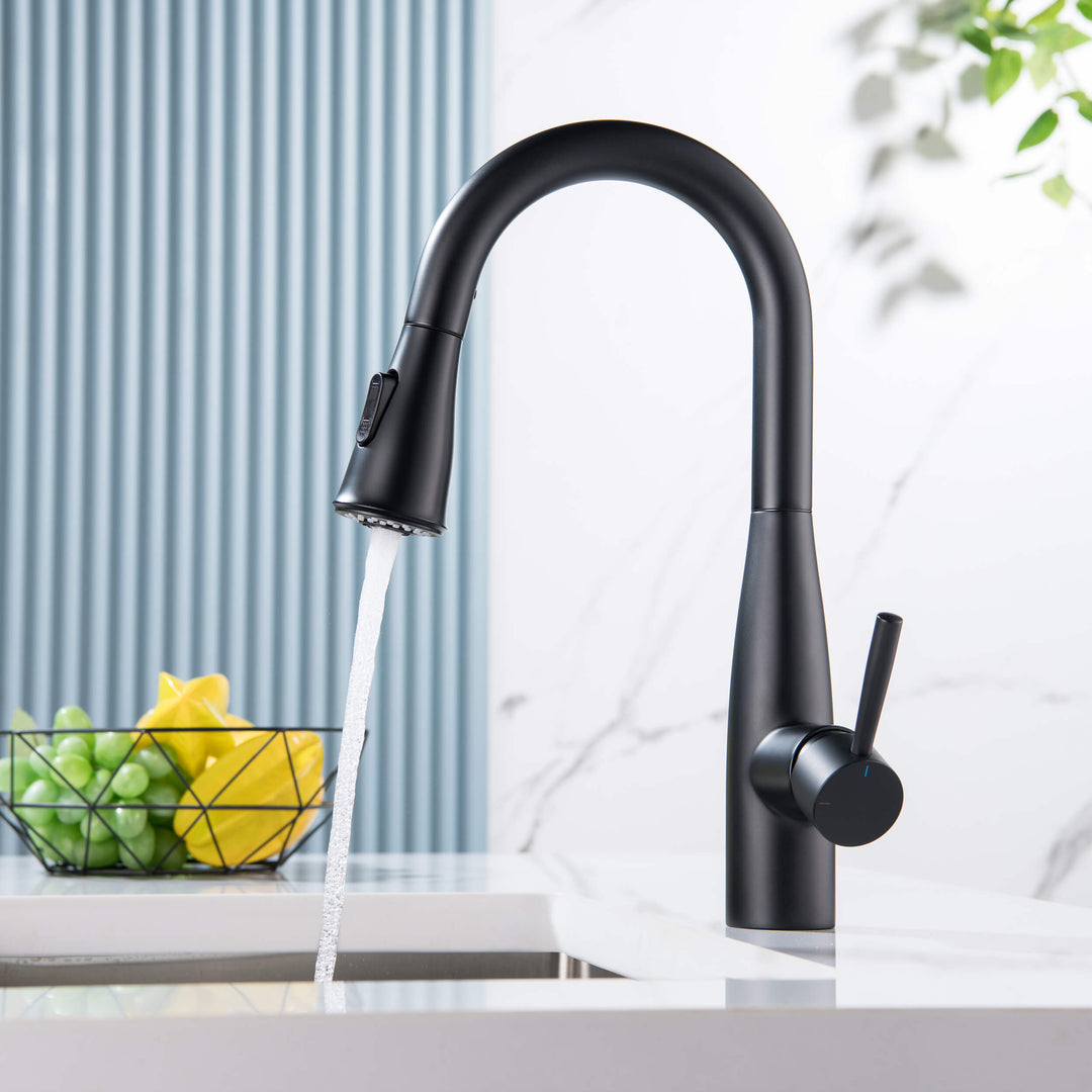 Plano Single-Handle Pull-Down Kitchen &amp; Bar Faucet