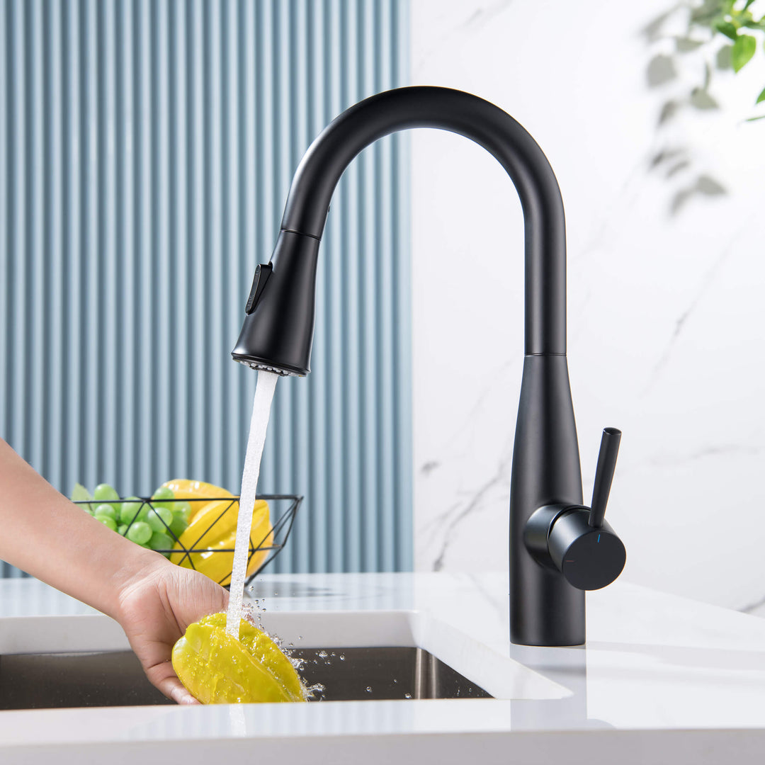 Plano Single-Handle Pull-Down Kitchen &amp; Bar Faucet