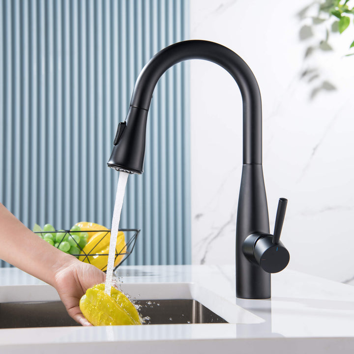 Plano Single-Handle Pull-Down Kitchen &amp; Bar Faucet