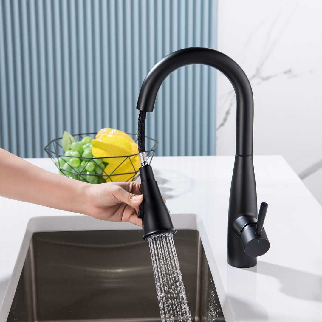 Plano Single-Handle Pull-Down Kitchen &amp; Bar Faucet
