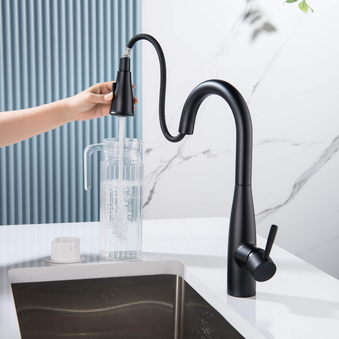 Plano Single-Handle Pull-Down Kitchen &amp; Bar Faucet