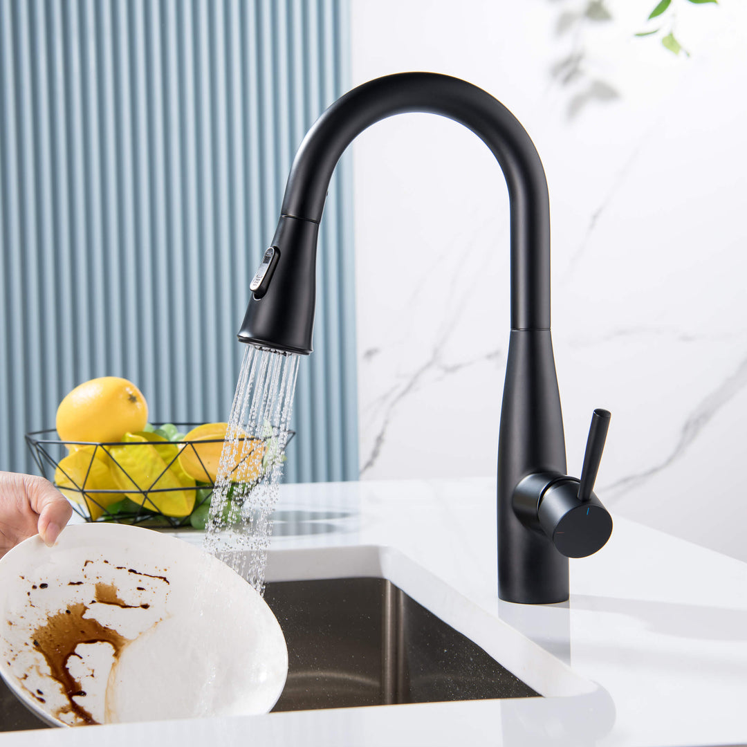 Plano Single-Handle Pull-Down Kitchen &amp; Bar Faucet