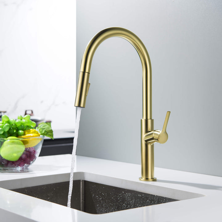 Neo Single-Handle Pull-Down Kitchen Faucet in Sink 2018