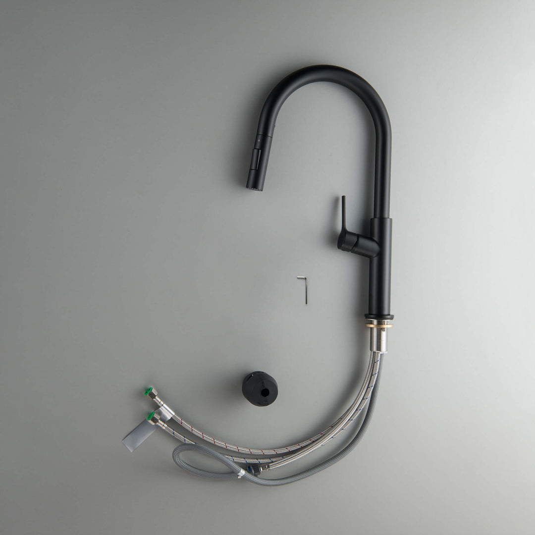 Neo Single-Handle Pull-Down Kitchen Faucet in Sink 2018