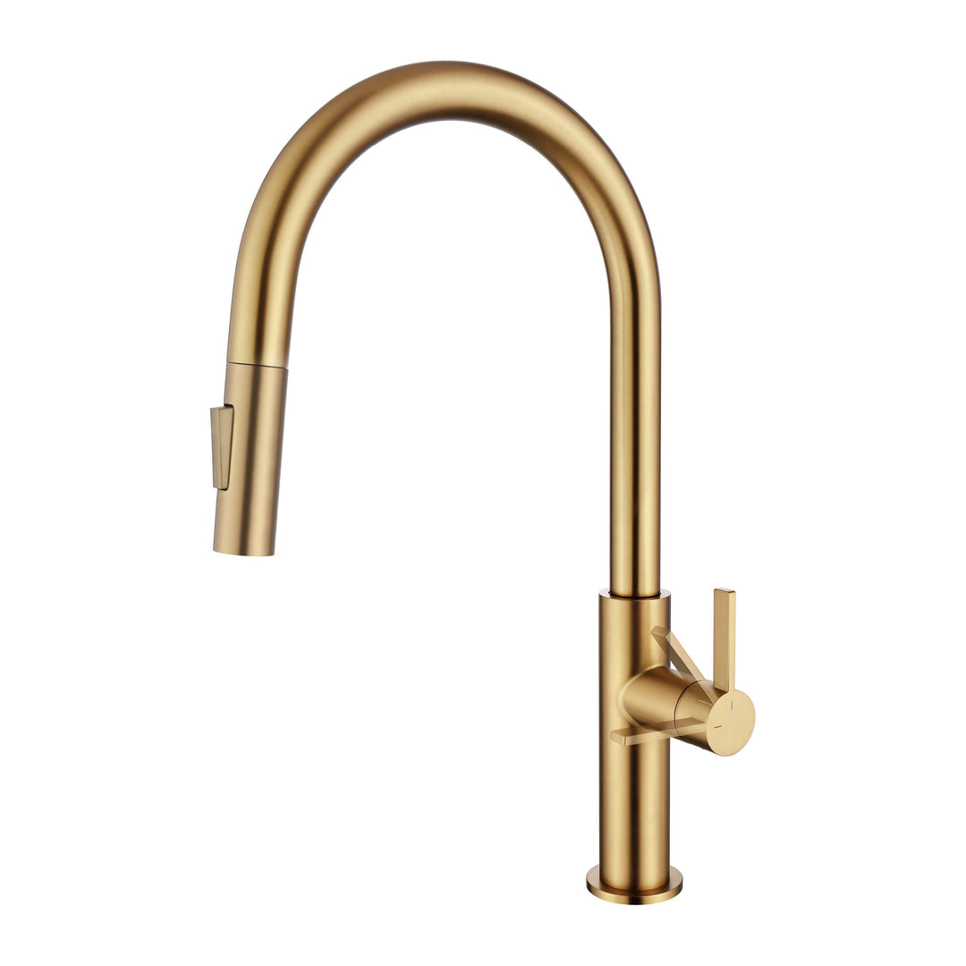 Neo Single-Handle Pull-Down Kitchen Faucet in 2019BB
