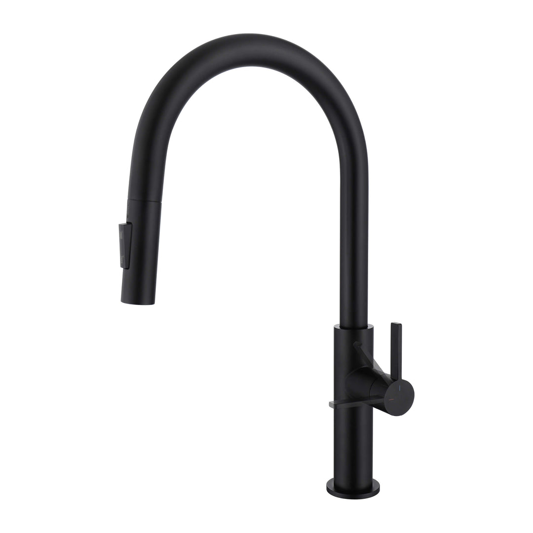 Neo Single-Handle Pull-Down Kitchen Faucet in 2019BB