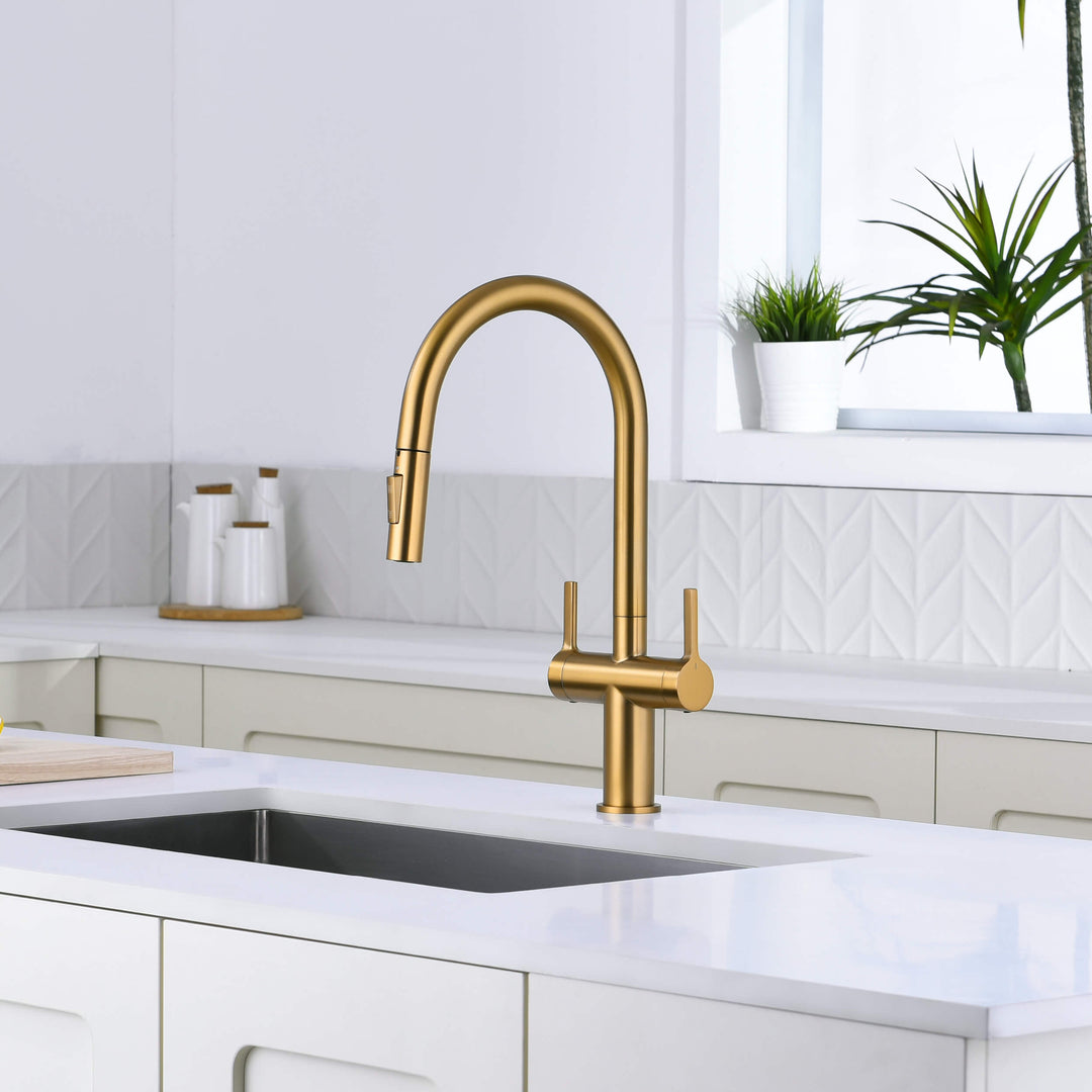 Neo Two-Handle Single-Hole Pull-Down Kitchen Faucet