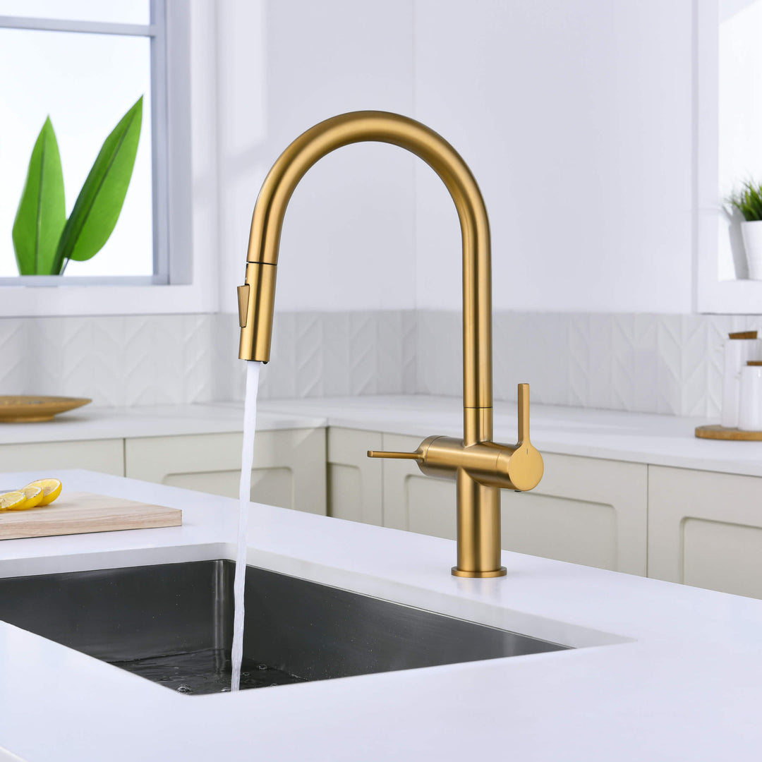 Neo Two-Handle Single-Hole Pull-Down Kitchen Faucet