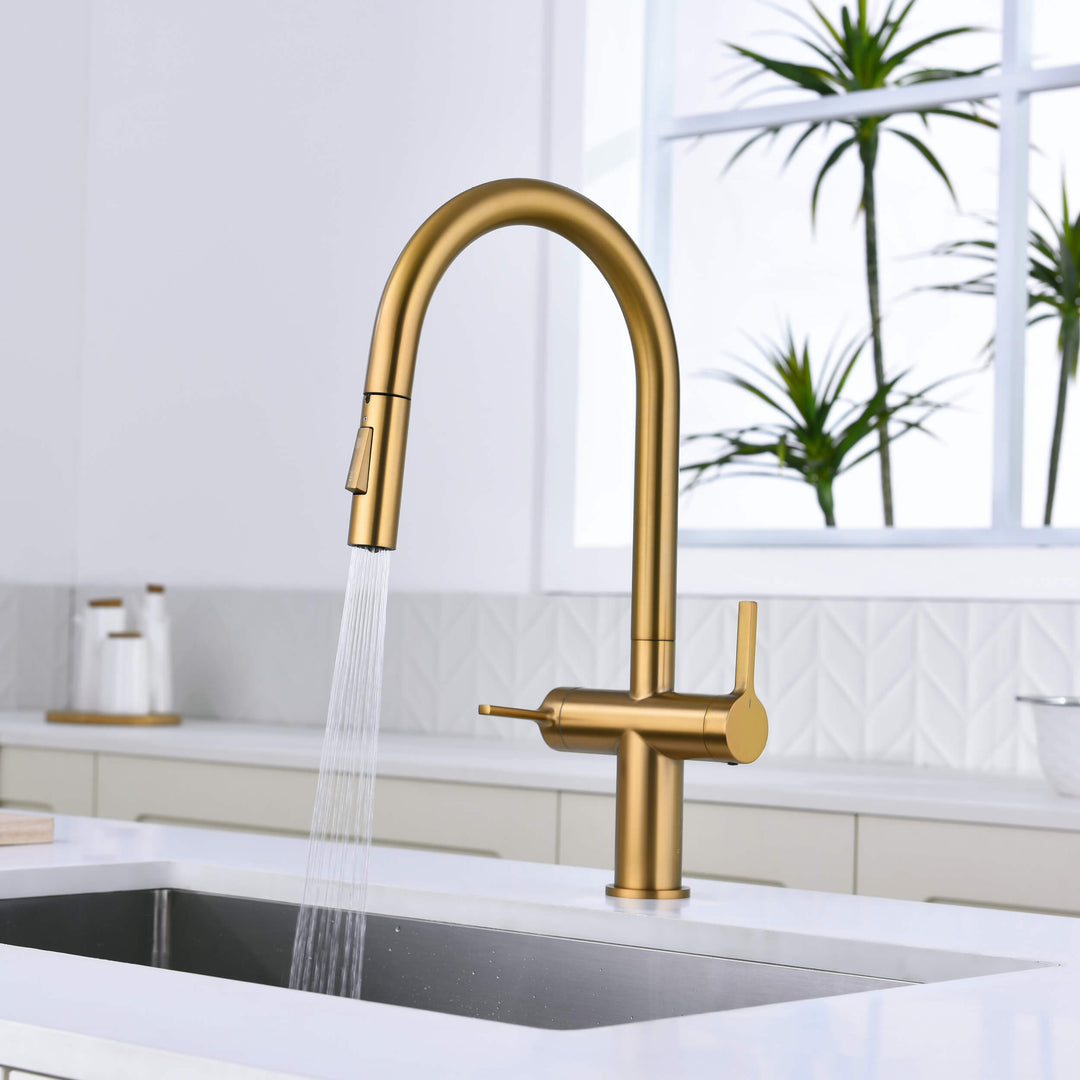 Neo Two-Handle Single-Hole Pull-Down Kitchen Faucet