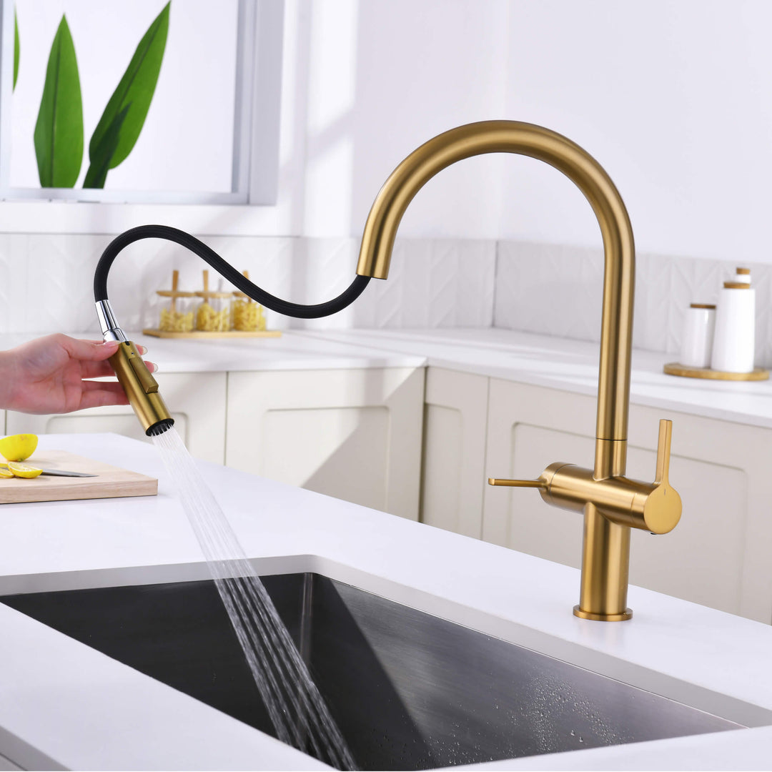 Neo Two-Handle Single-Hole Pull-Down Kitchen Faucet