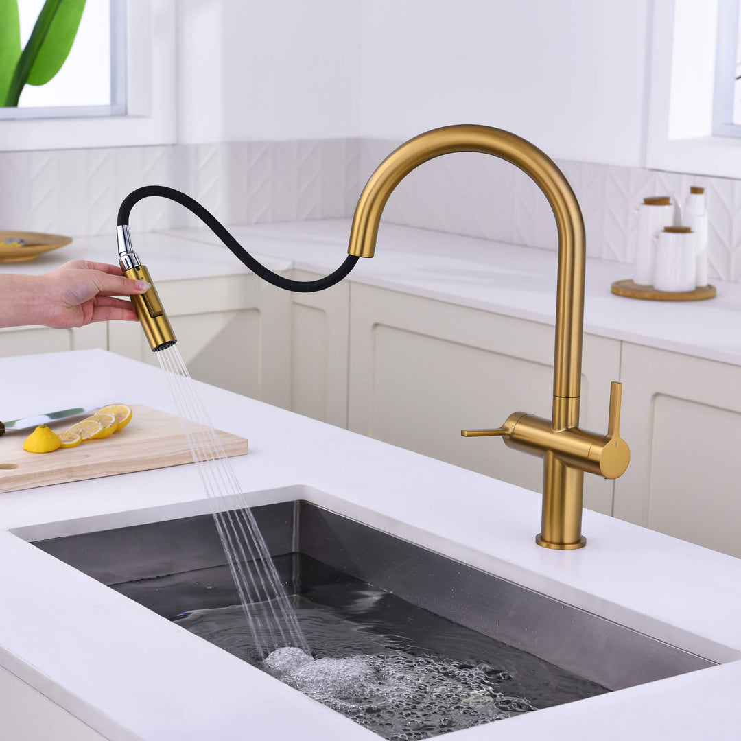 Neo Two-Handle Single-Hole Pull-Down Kitchen Faucet