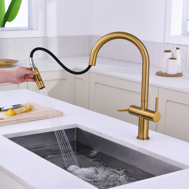 Neo Two-Handle Single-Hole Pull-Down Kitchen Faucet